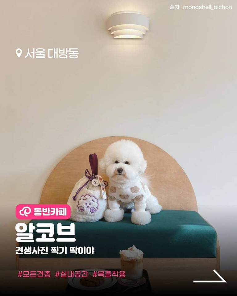 카페알코브