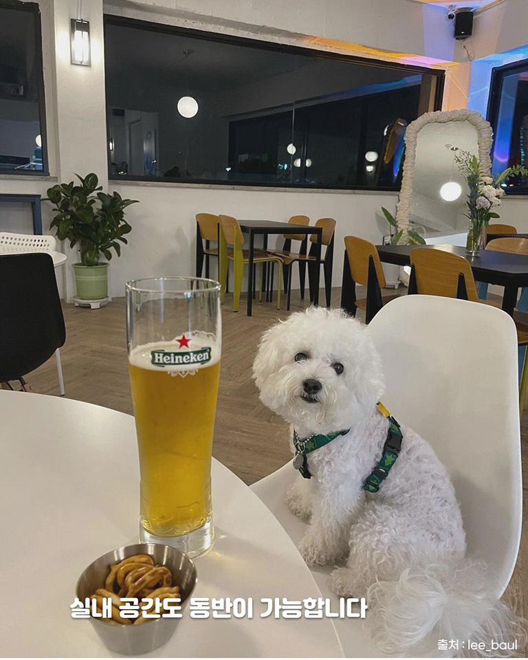 올라올래