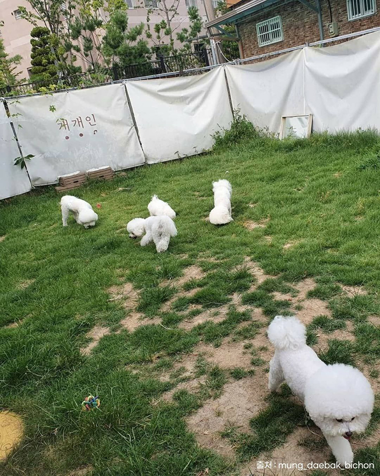 개개인
