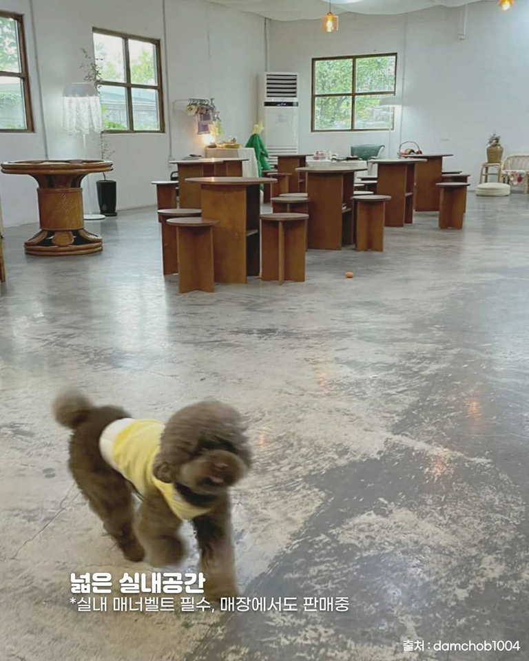 개개인