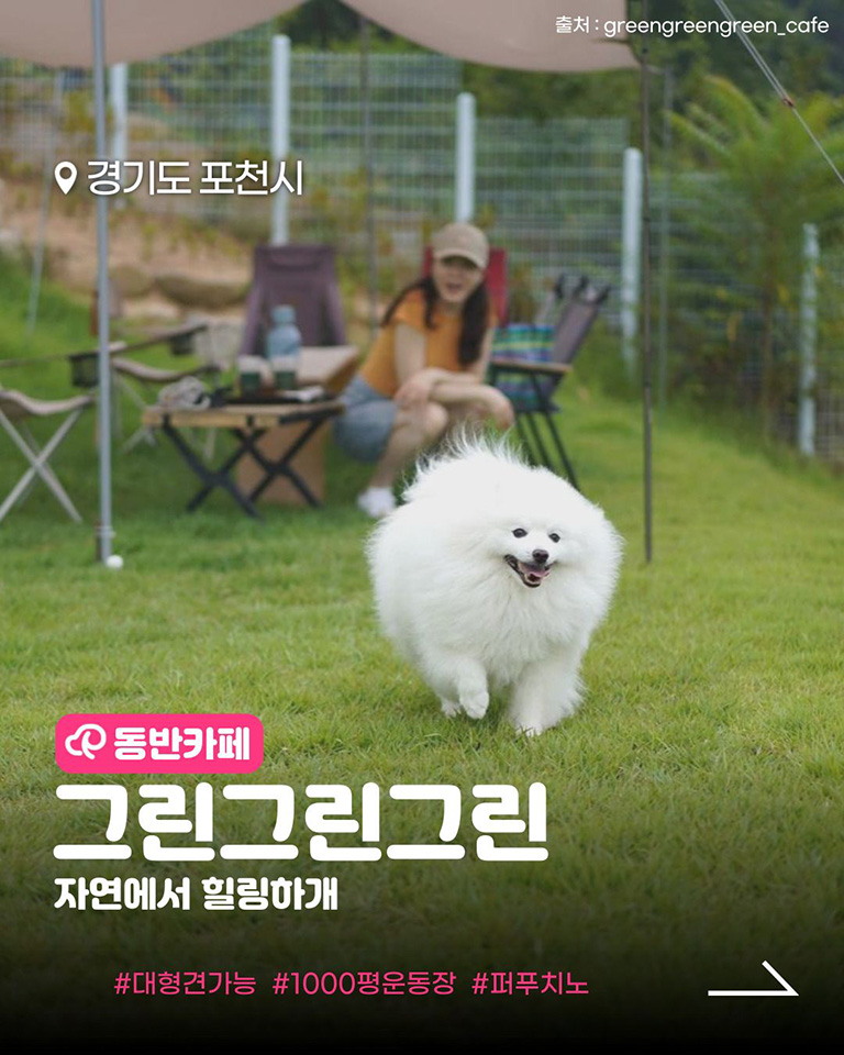 그린그린그린