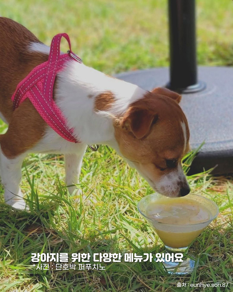 그린그린그린
