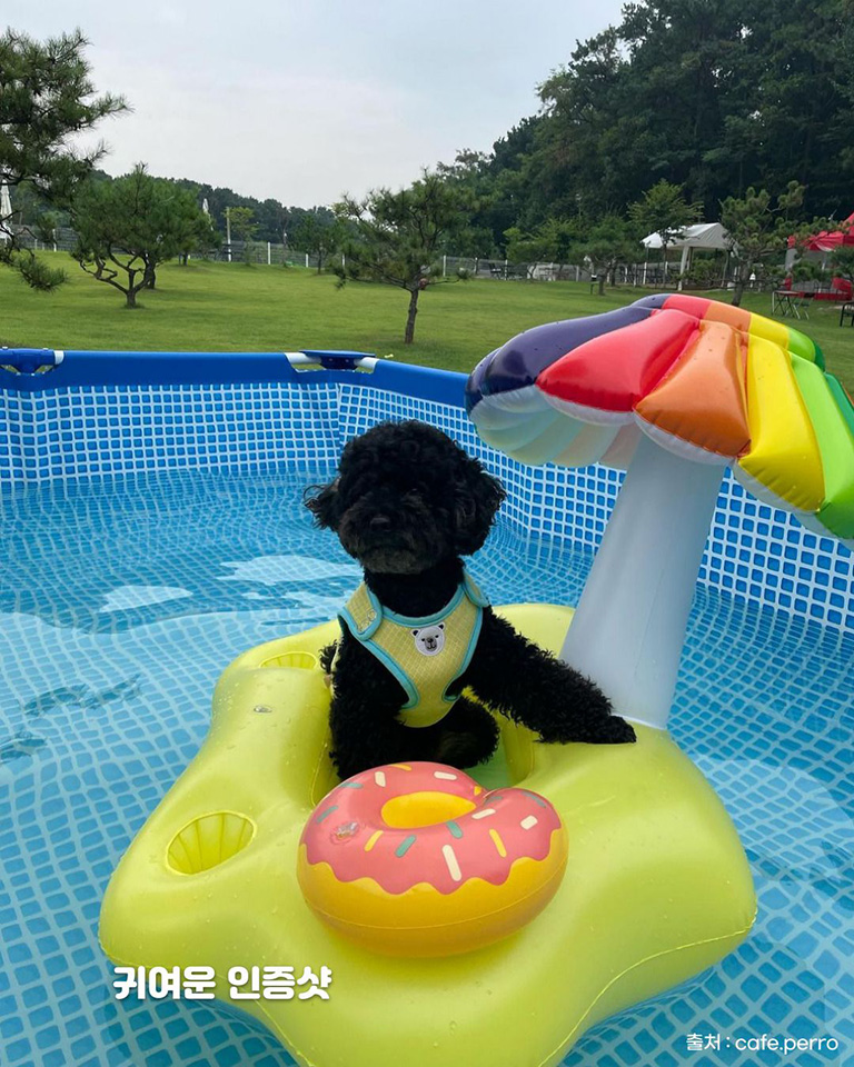 카페빼로