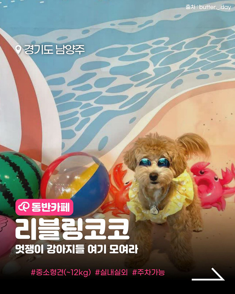 리블링코코