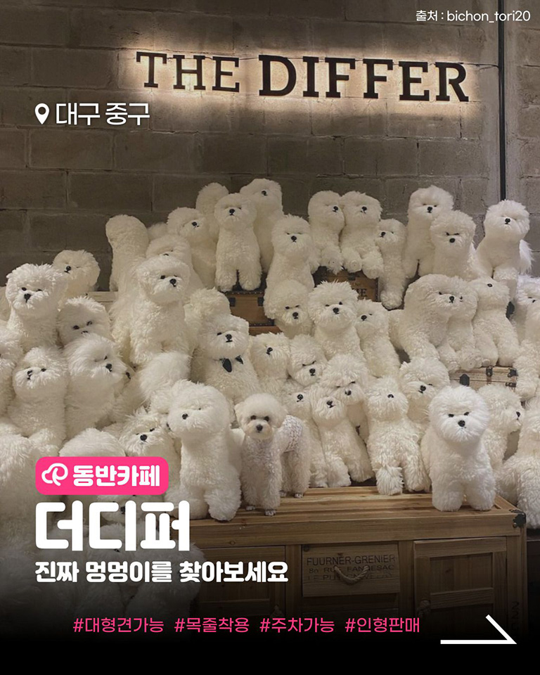 더 디퍼