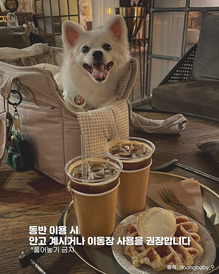 더 디퍼