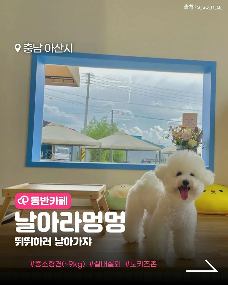 날아라멍멍