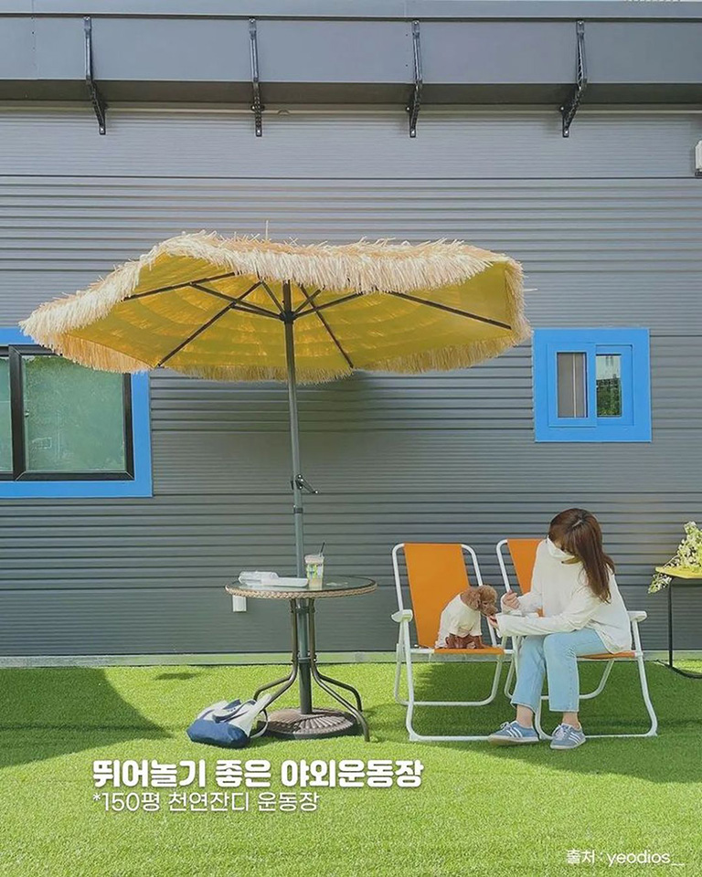 날아라멍멍