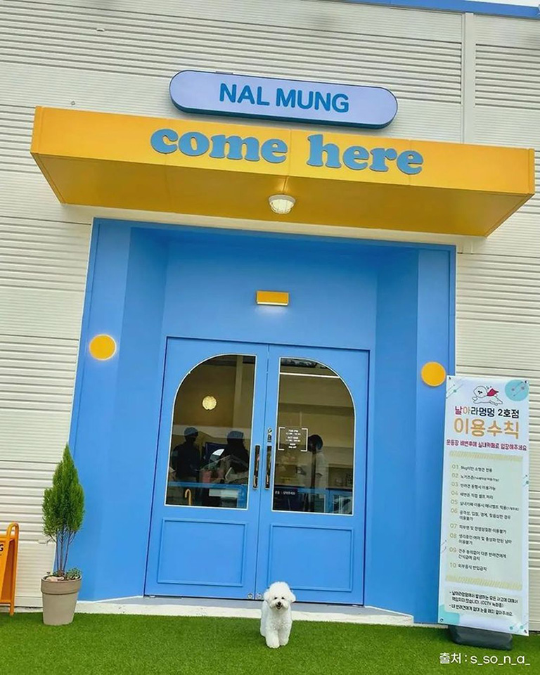 날아라멍멍
