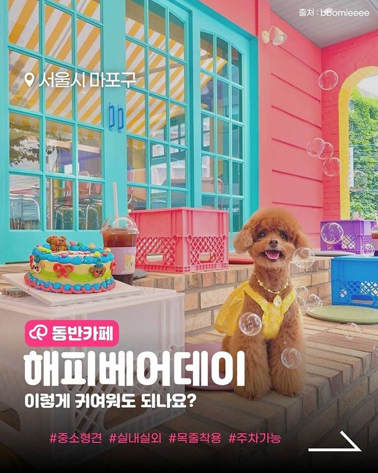 해피베어데이 본점