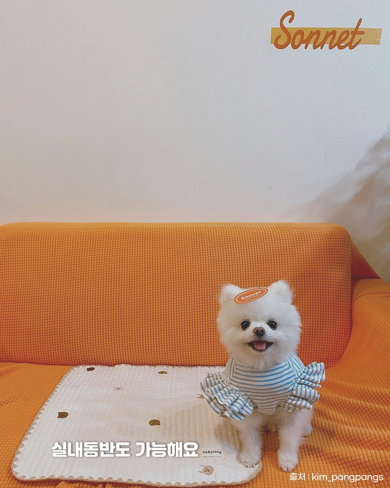 소네트