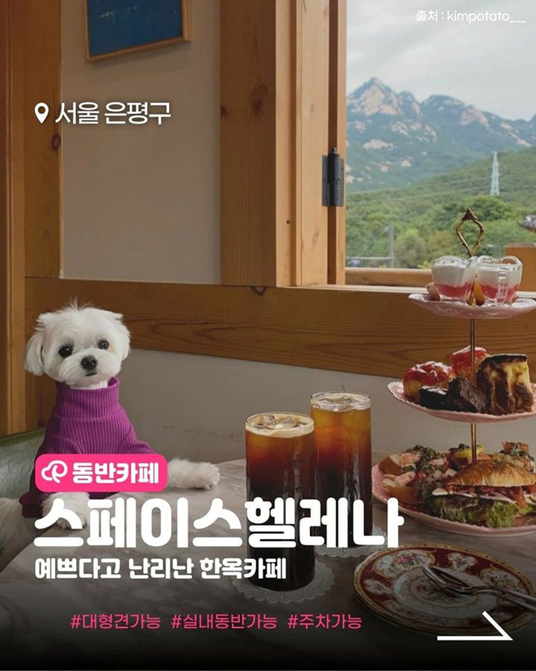 스페이스헬레나
