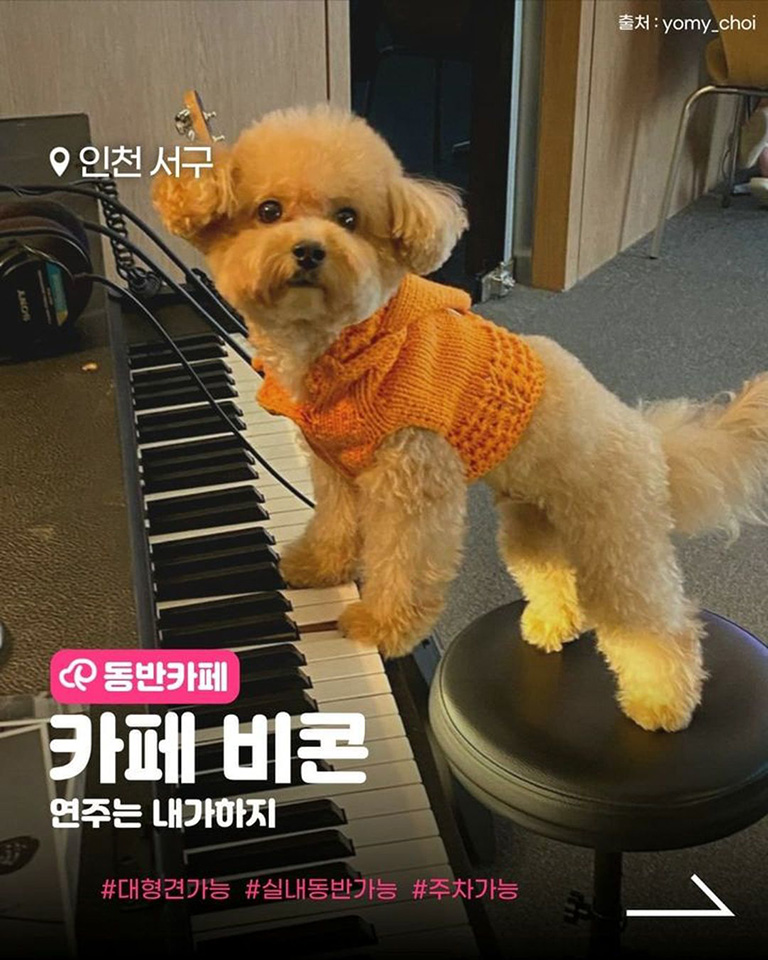 비콘
