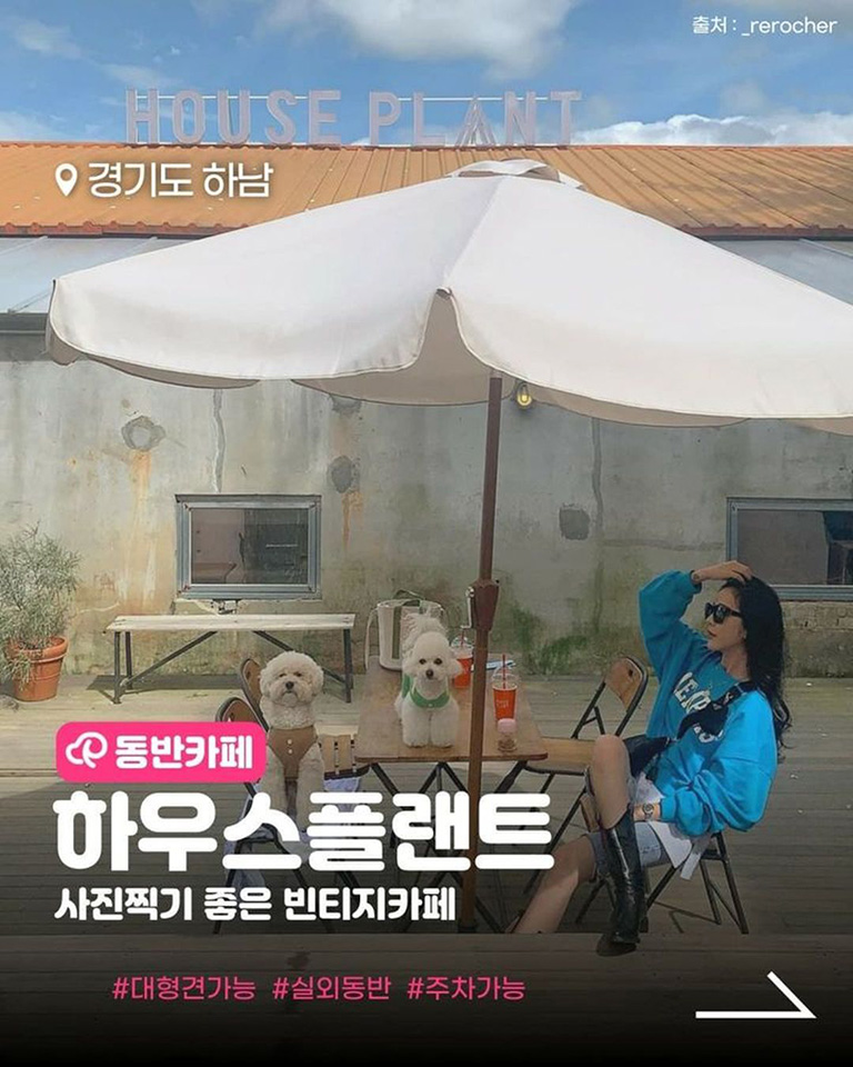 하우스플랜트