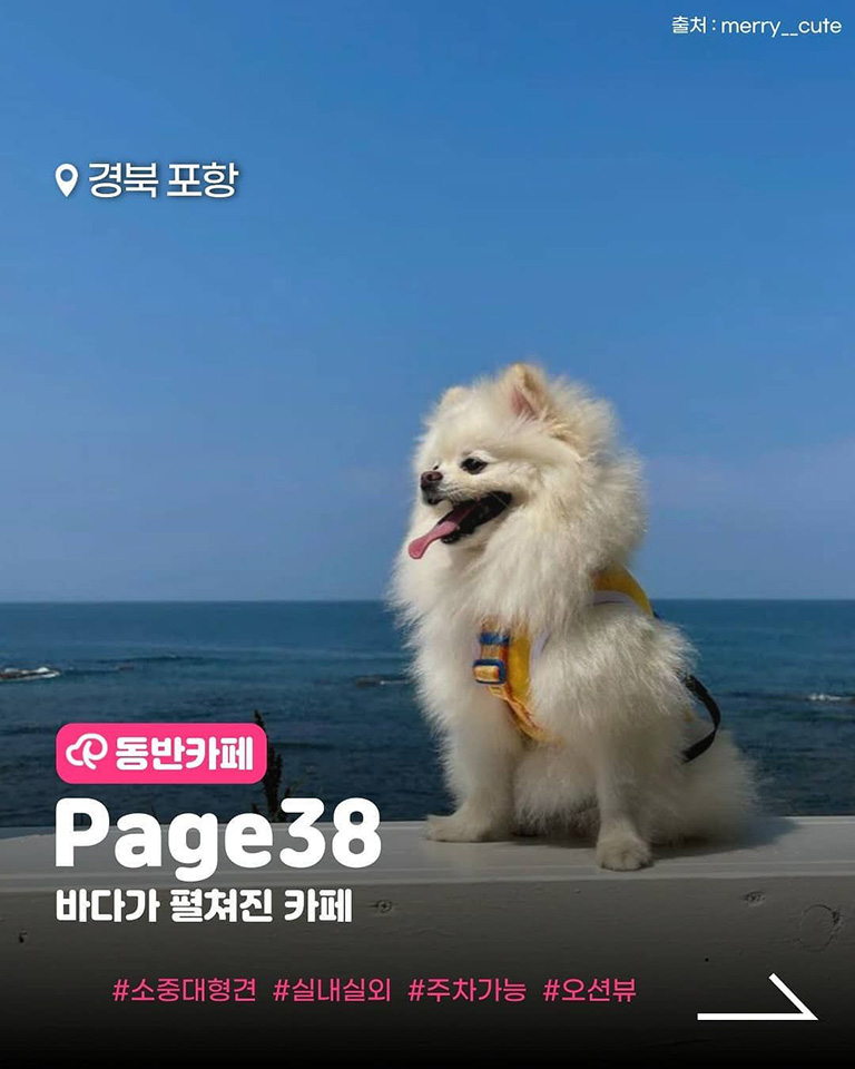 페이지38
