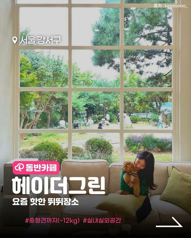 헤이더그린