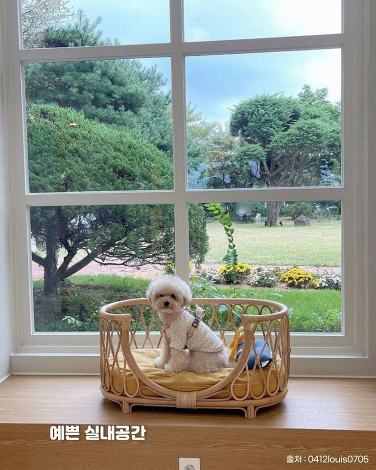 헤이더그린