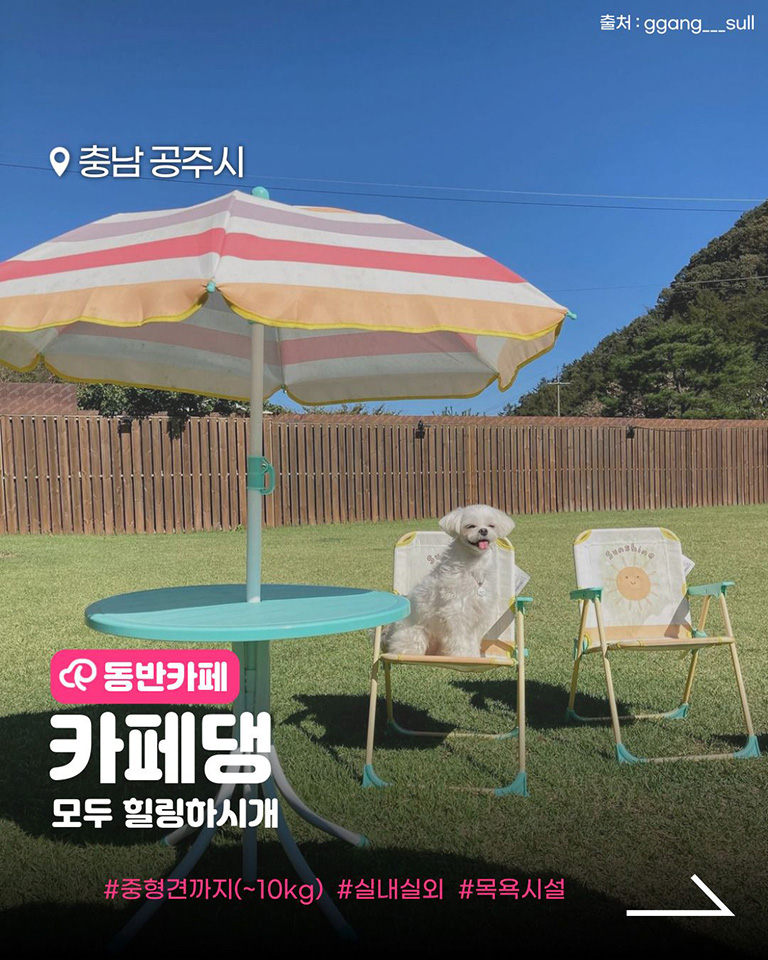 카페댕