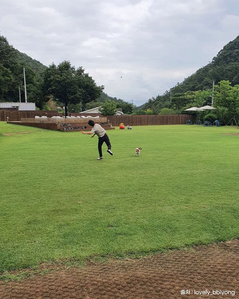 카페댕