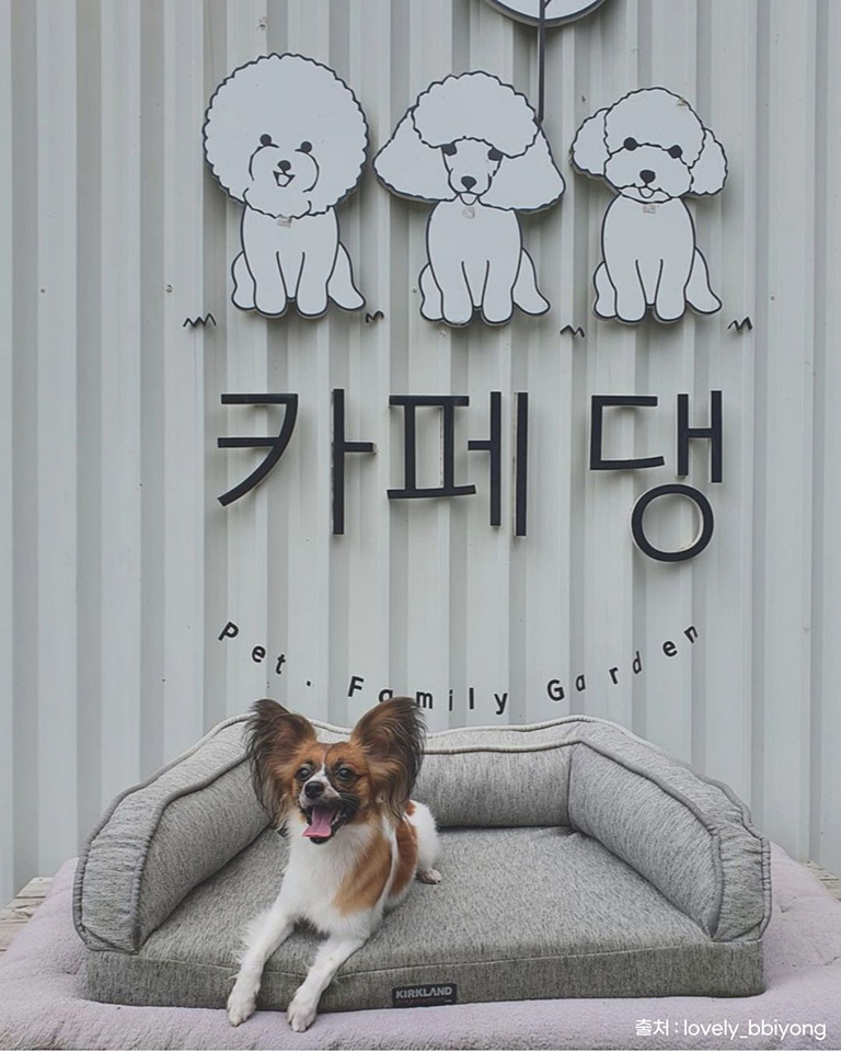 카페댕