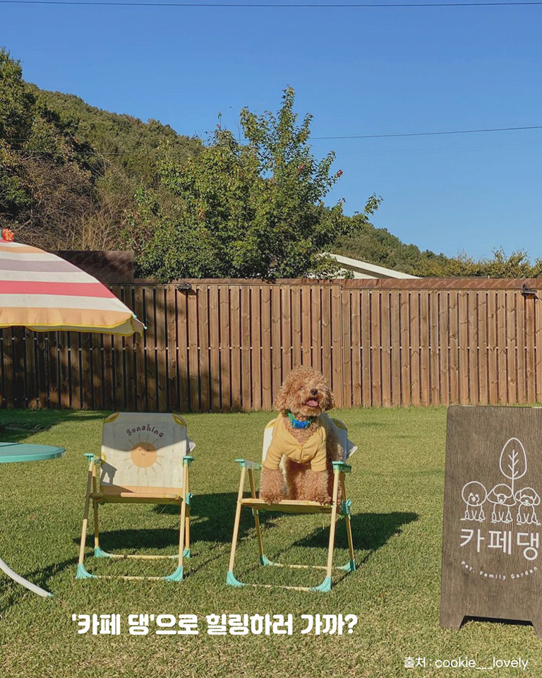 카페댕