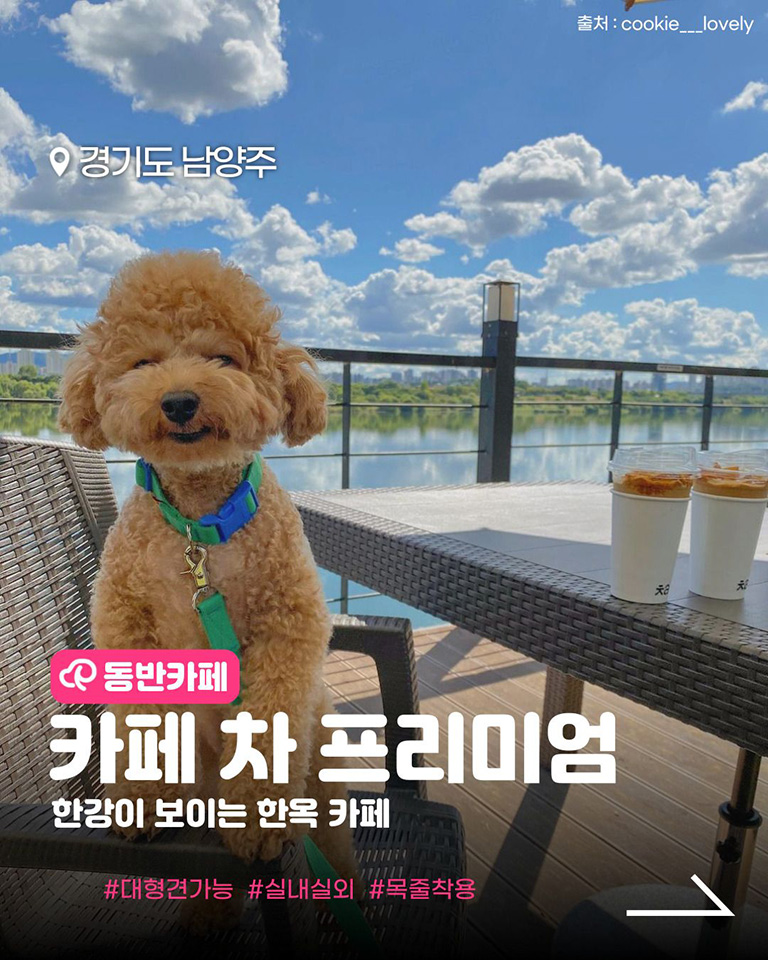 카페 차 프리미엄
