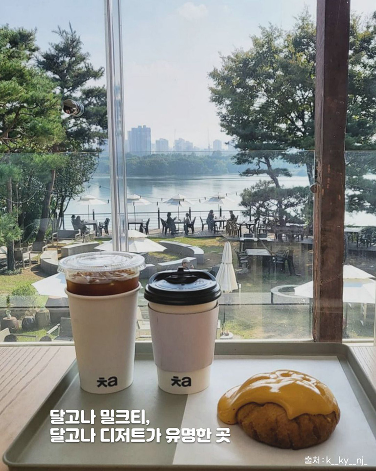 카페 차 프리미엄