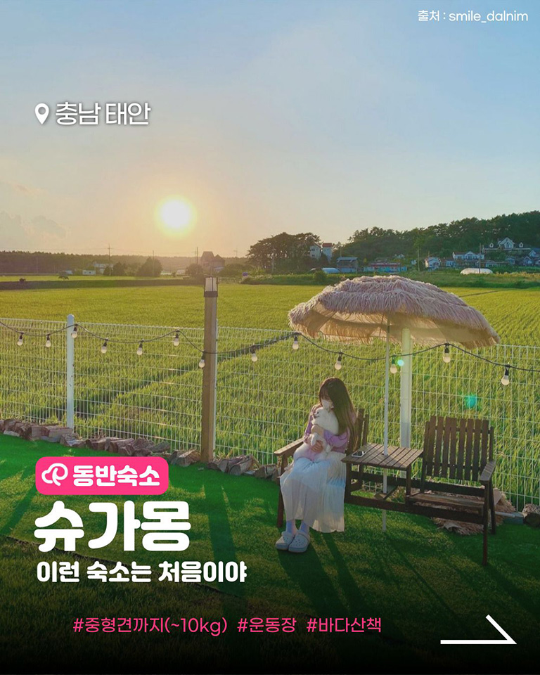 슈가몽펜션