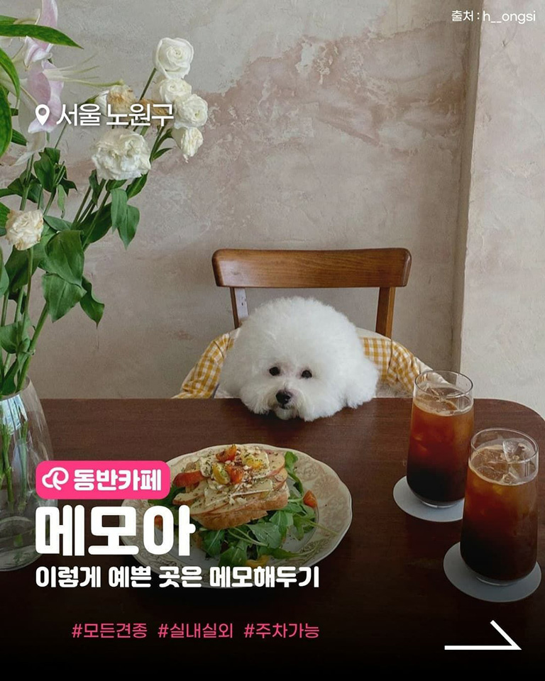 메모아