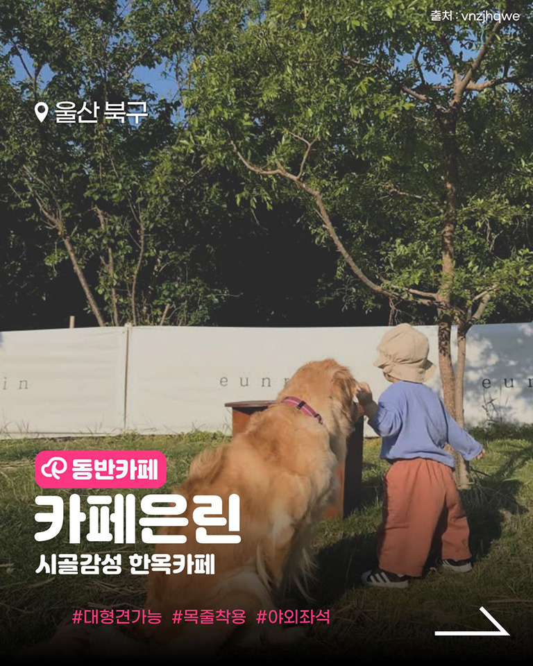 카페은린