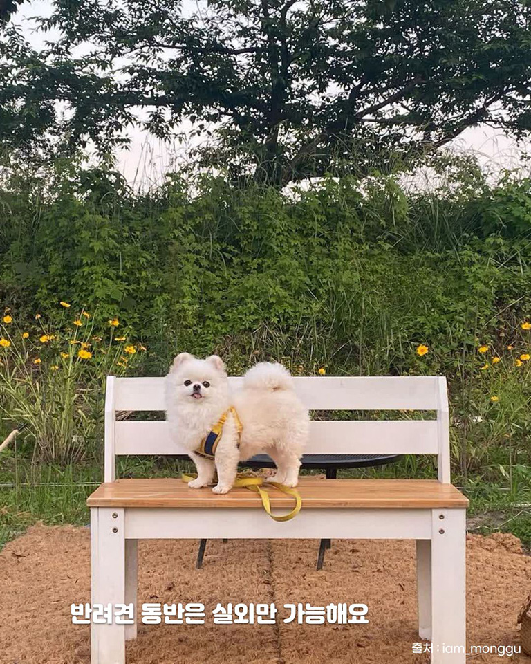 카페은린
