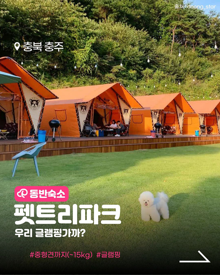 펫트리파크