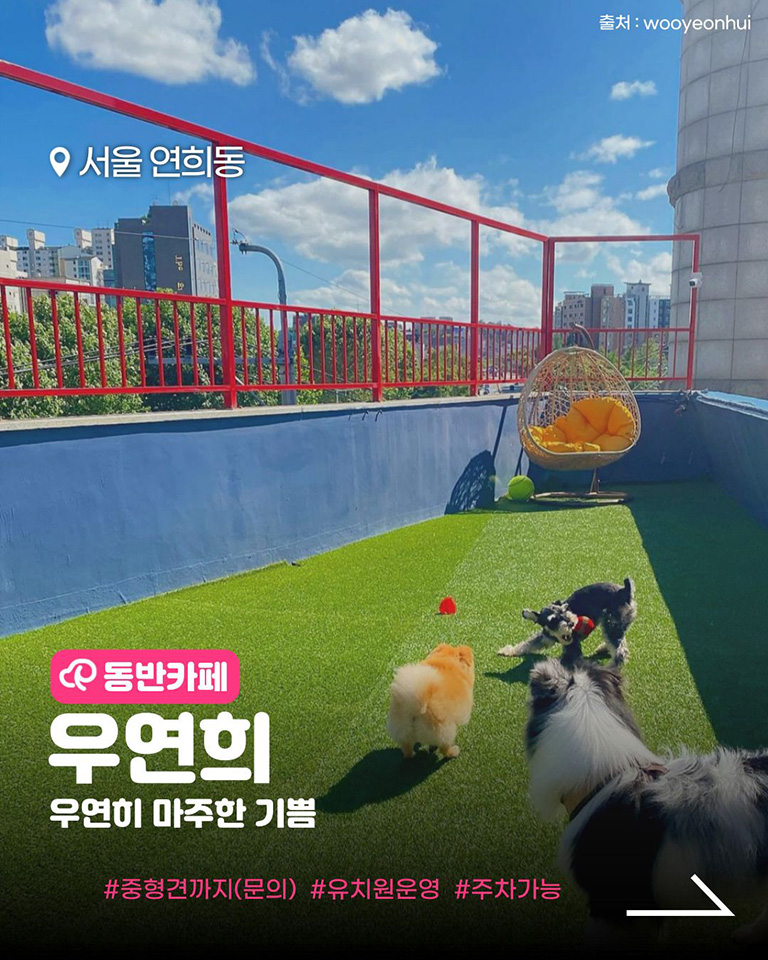 우연희