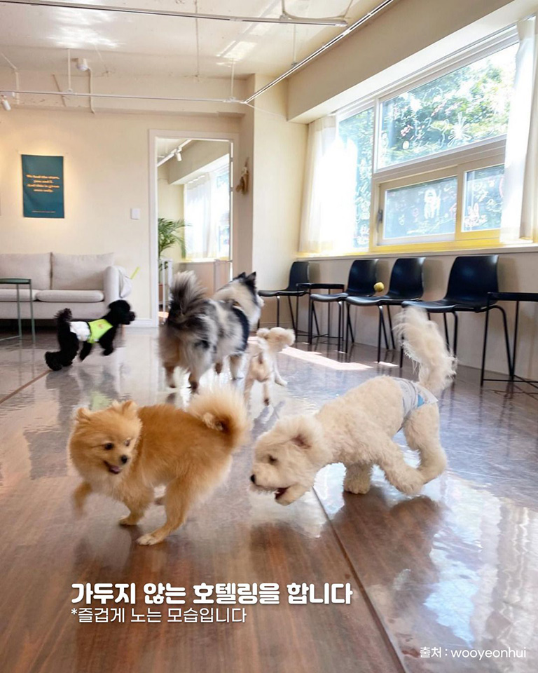 우연희