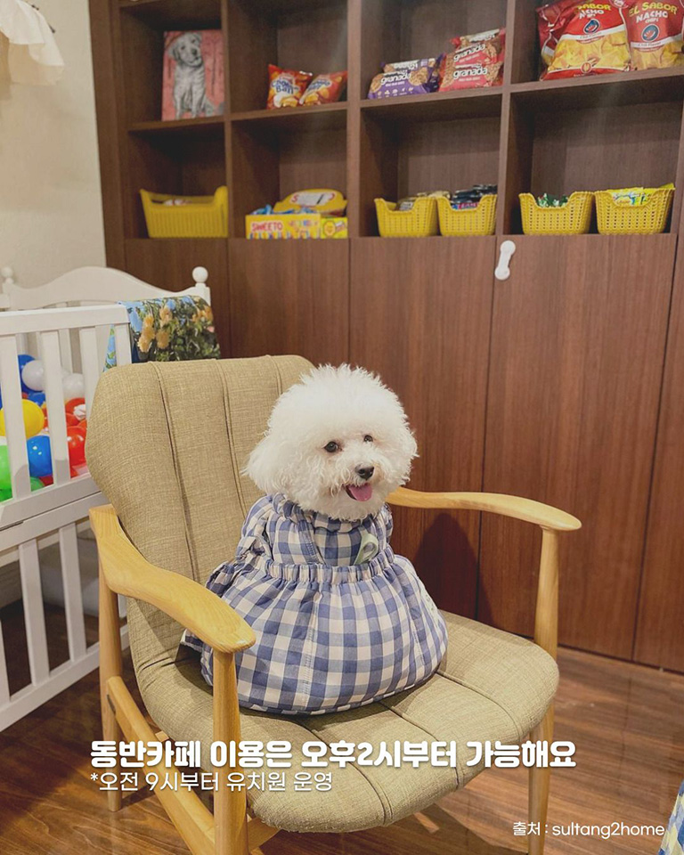 우연희