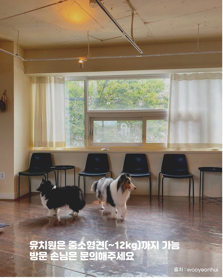 우연희