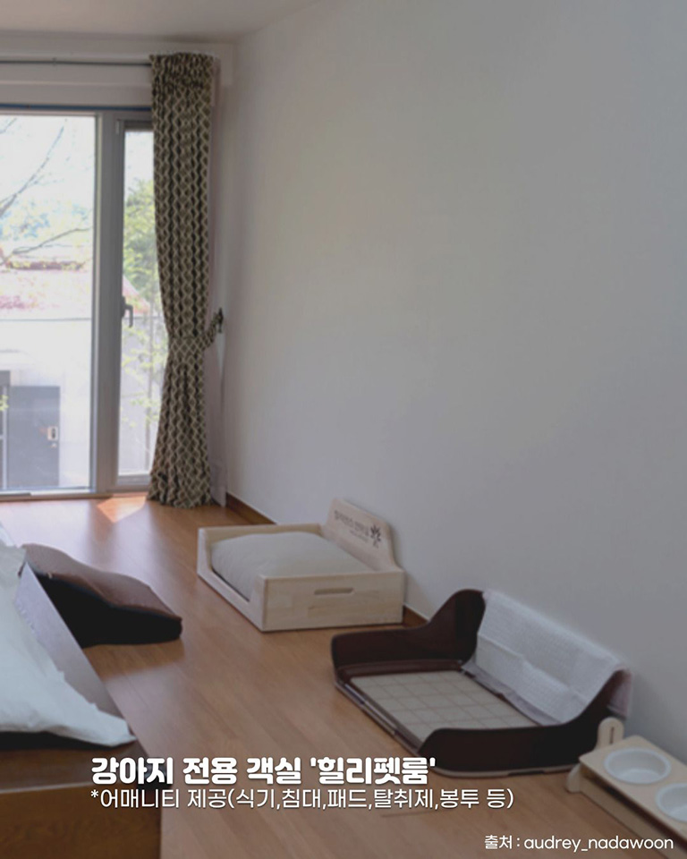 힐리언스 선마을