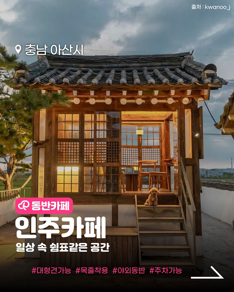 인주카페