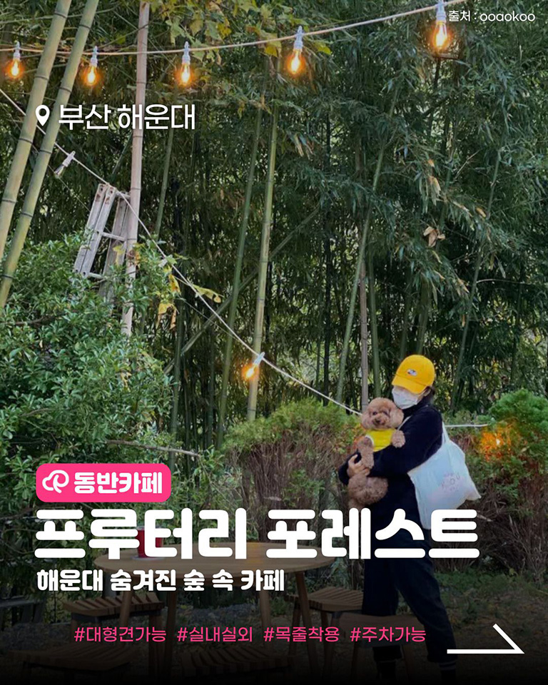 프루터리 포레스트