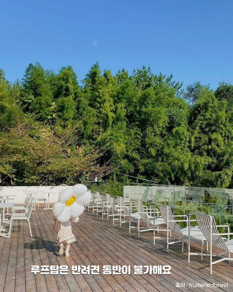 프루터리 포레스트