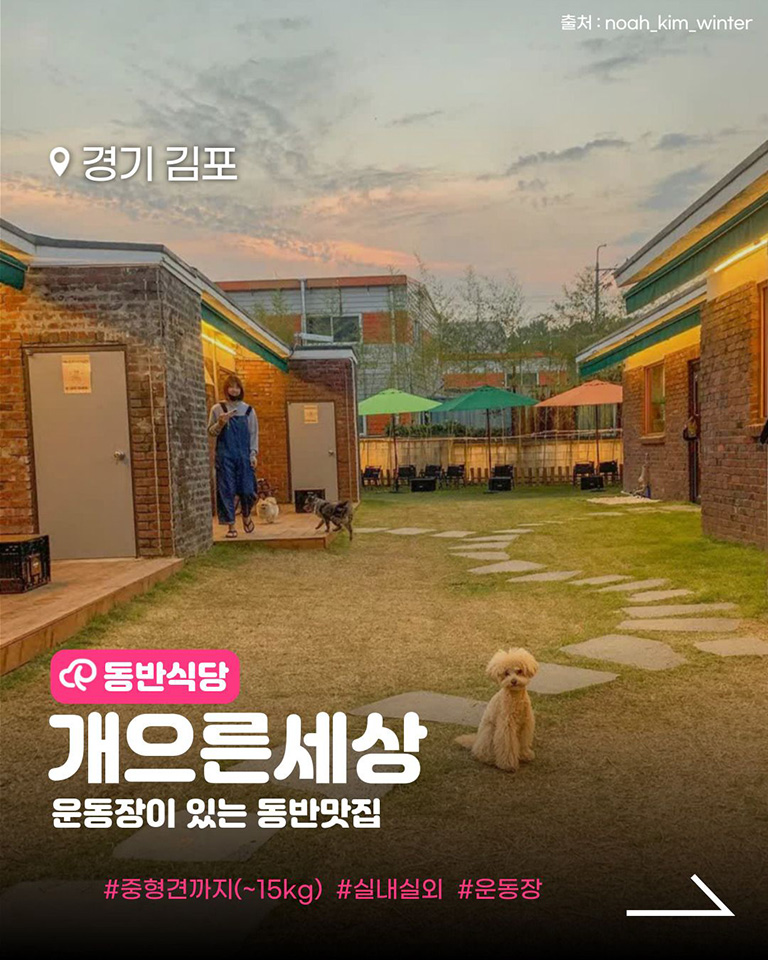 개으른세상