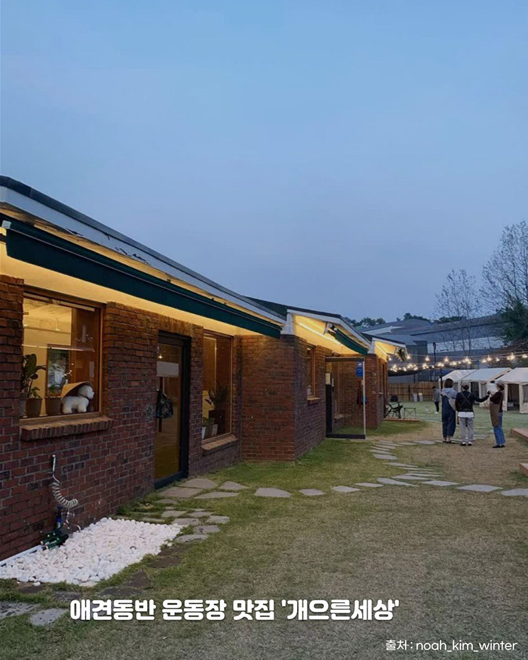 개으른세상