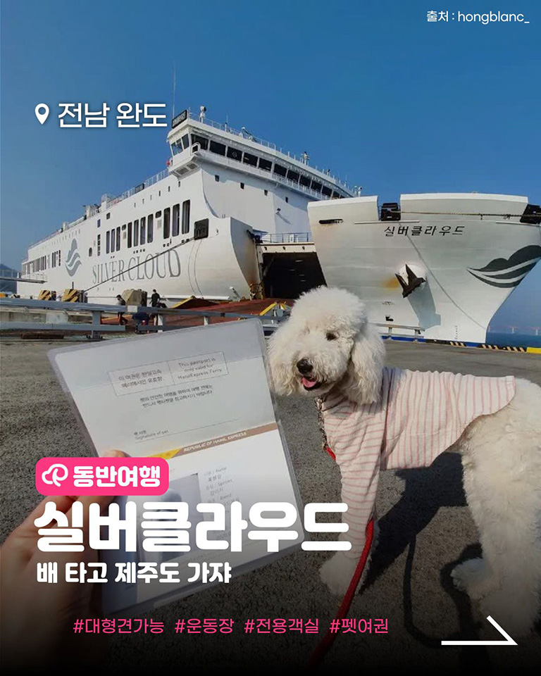 완도연안여객선터미널