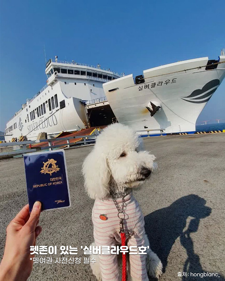 완도연안여객선터미널