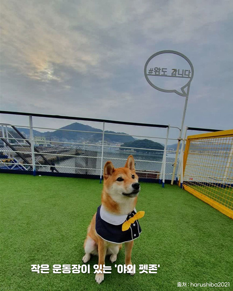 완도연안여객선터미널