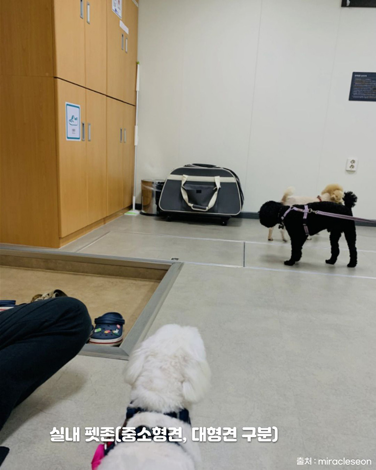 완도연안여객선터미널