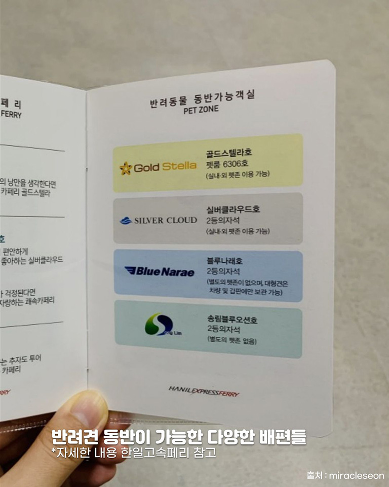 완도연안여객선터미널