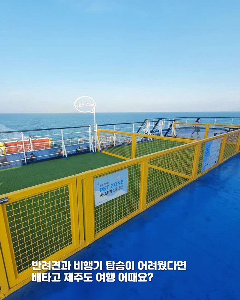 완도연안여객선터미널