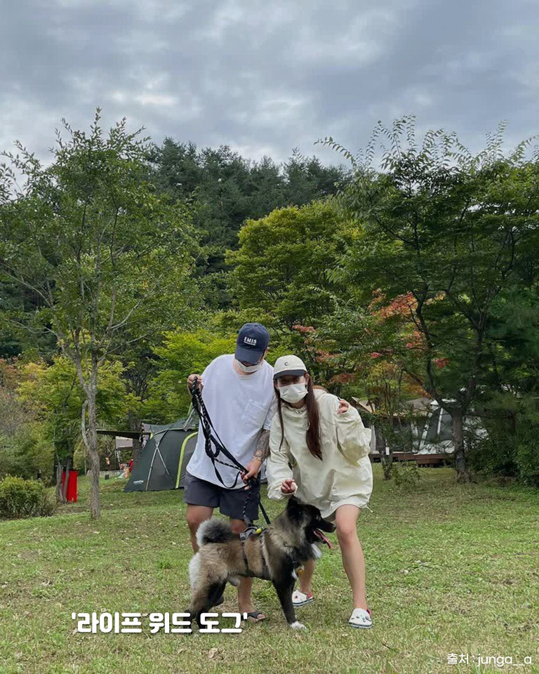 라이프위드도그
