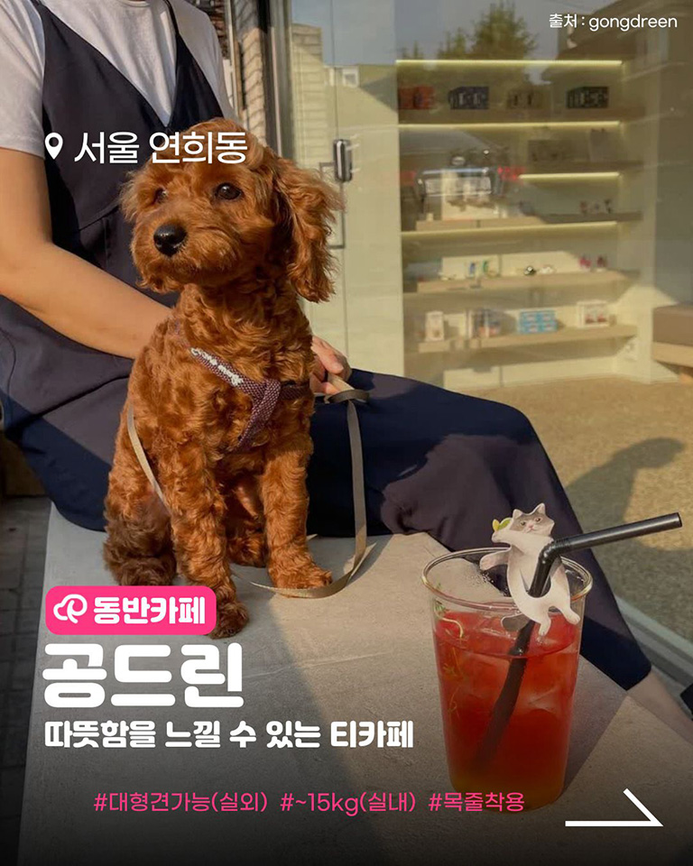 공드린